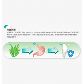 Papai 海藻深層貓潔牙粉 - 三文魚口味 60g（貓貓適用）